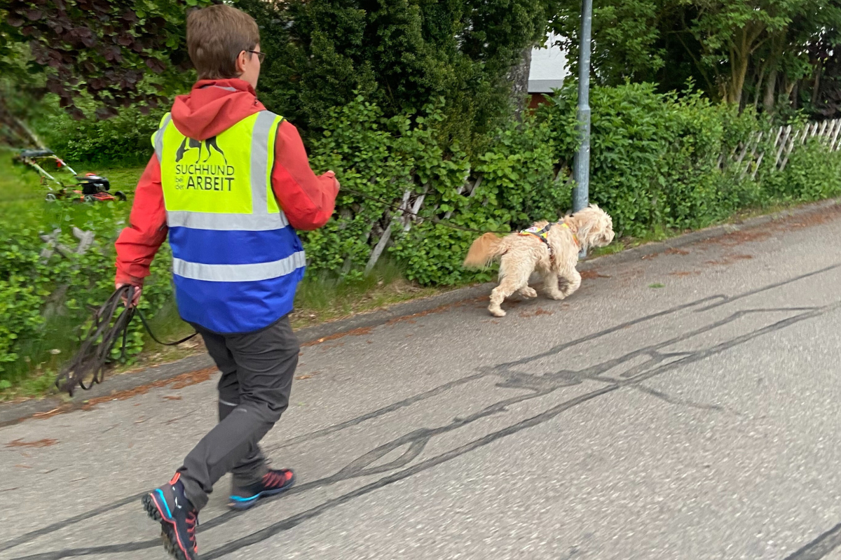 Mantrailing Rettungshunde Hundefreunde Oberndorf